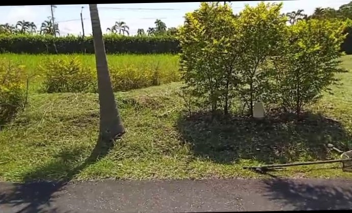 VENDO LOTE VIA CERRITOS LA VIRGINIA PEREIRA