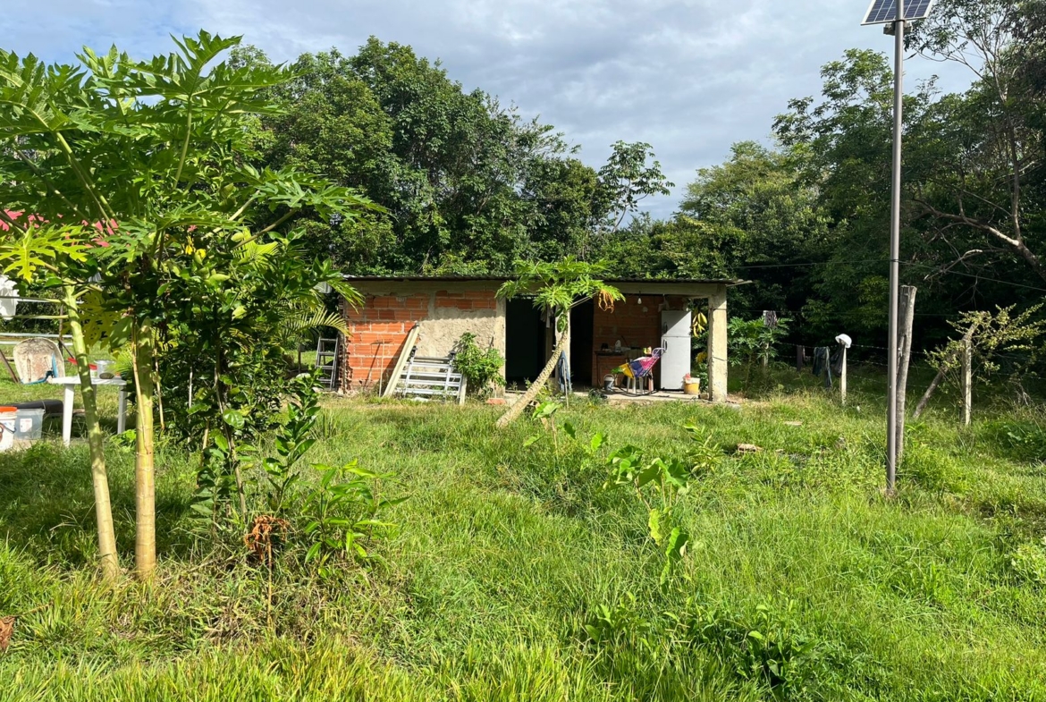 FINCA AGRO-GANADERA OPORTUNIDAD ÚNICA EN VILLANUEVA, CASANARE