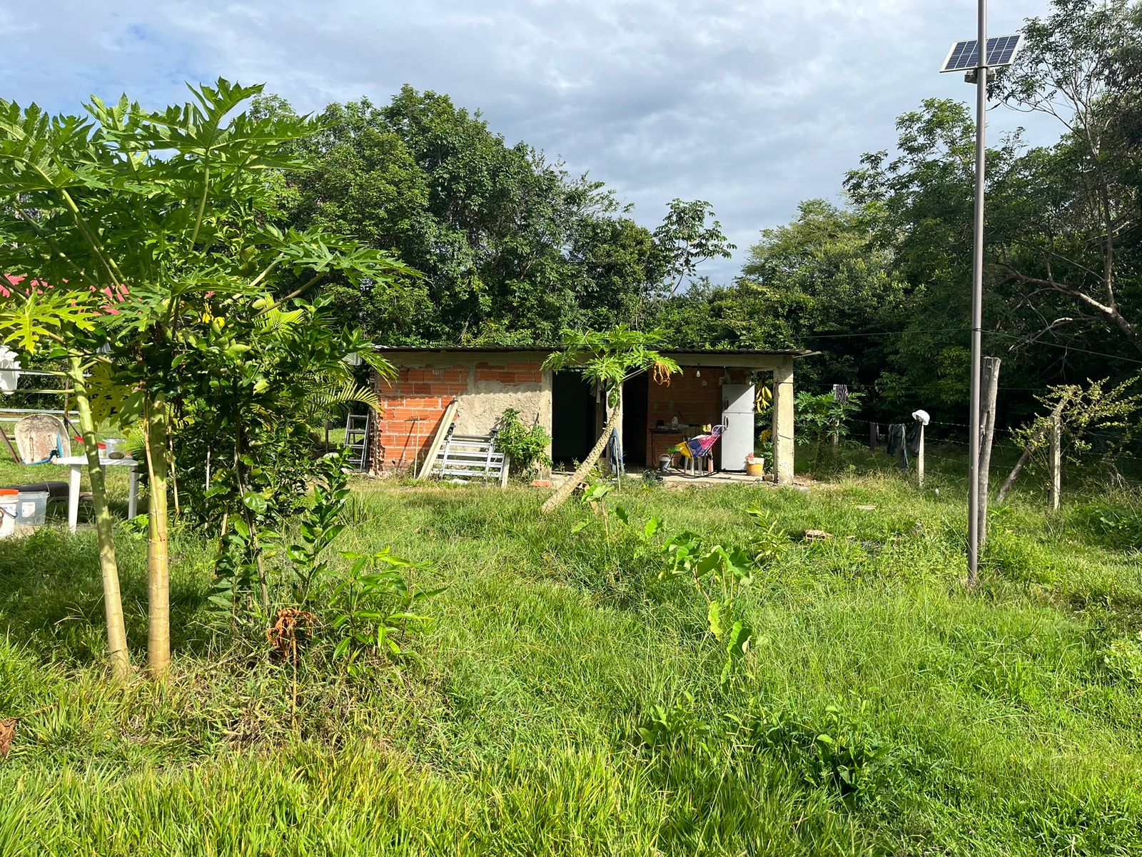 30507420260301041349 FINCA AGRO-GANADERA OPORTUNIDAD ÚNICA EN VILLANUEVA, CASANARE