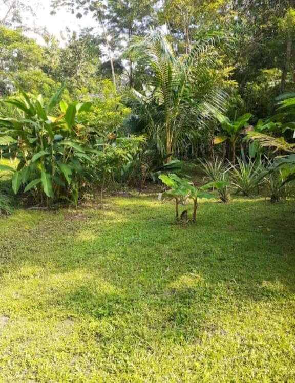 VENDO CASA EN LA HERMOSA ISLA DE CAPURGANA MAR CARIBE