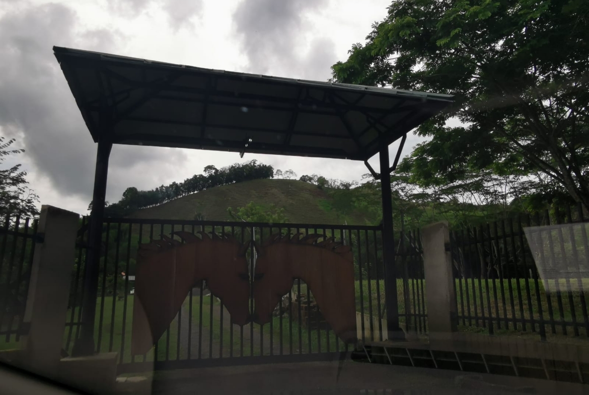 VENDO HERMOSA FINCA DE 10.000 M2 a 5 MIN DEL CRUCERO DE COMBIA