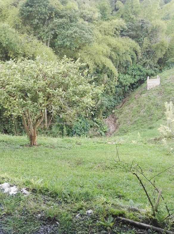 SE VENDE HERMOSA FINCA DE RECREO VIA A ARMENIA