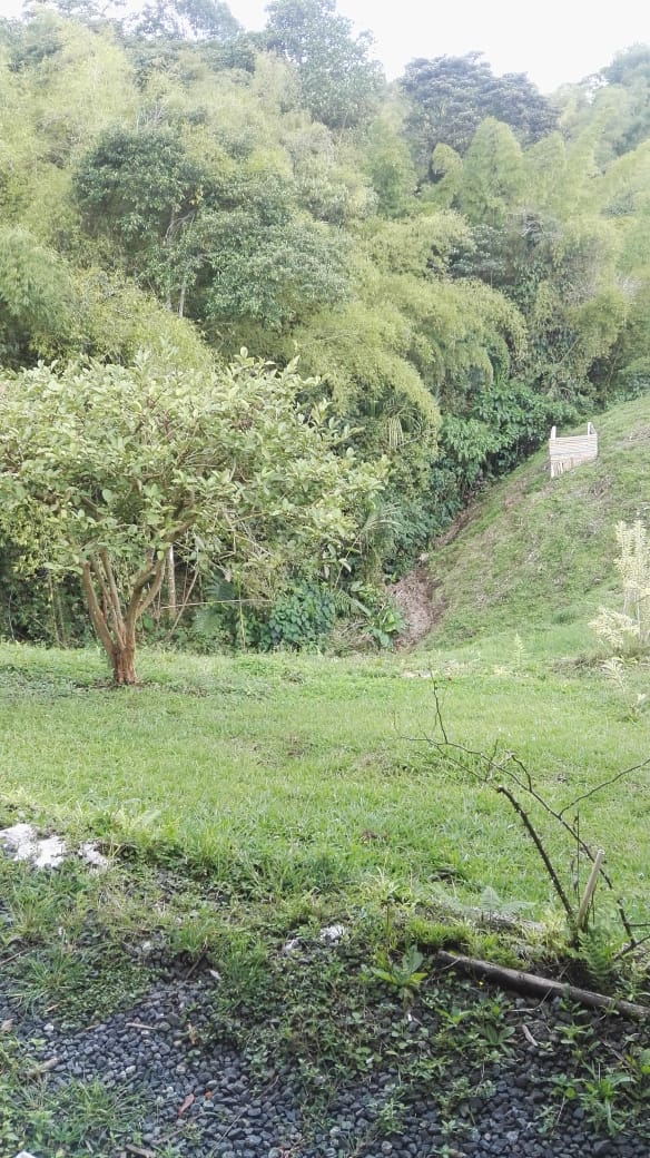 SE VENDE HERMOSA FINCA DE RECREO VIA A ARMENIA