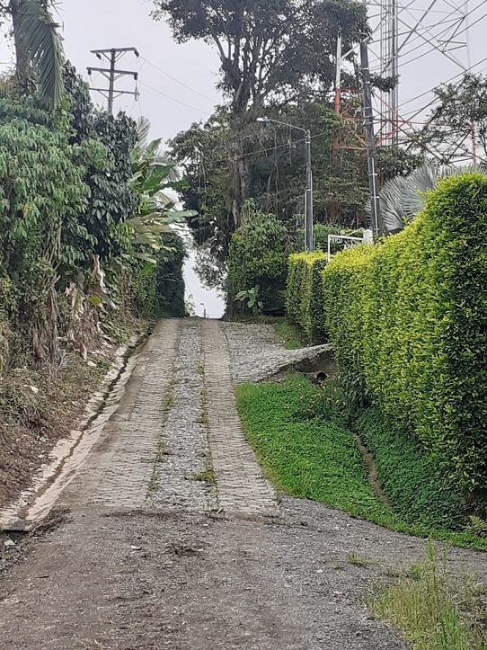 VENDO FINCA SECTOR MORELIA