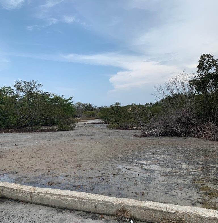 Vende lote Isla Boquerón San Bernardo del Viento