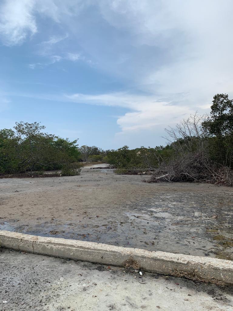 30507520190724061339 Vende lote Isla Boquerón San Bernardo del Viento