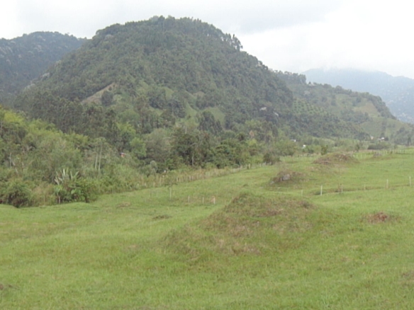 VENTA LOTE SECTOR LA FLORIDA