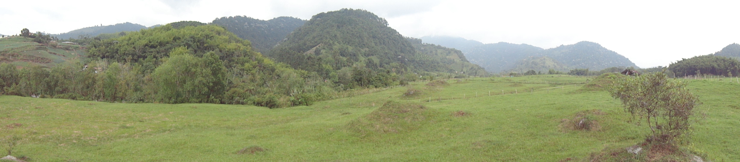 VENTA LOTE SECTOR LA FLORIDA