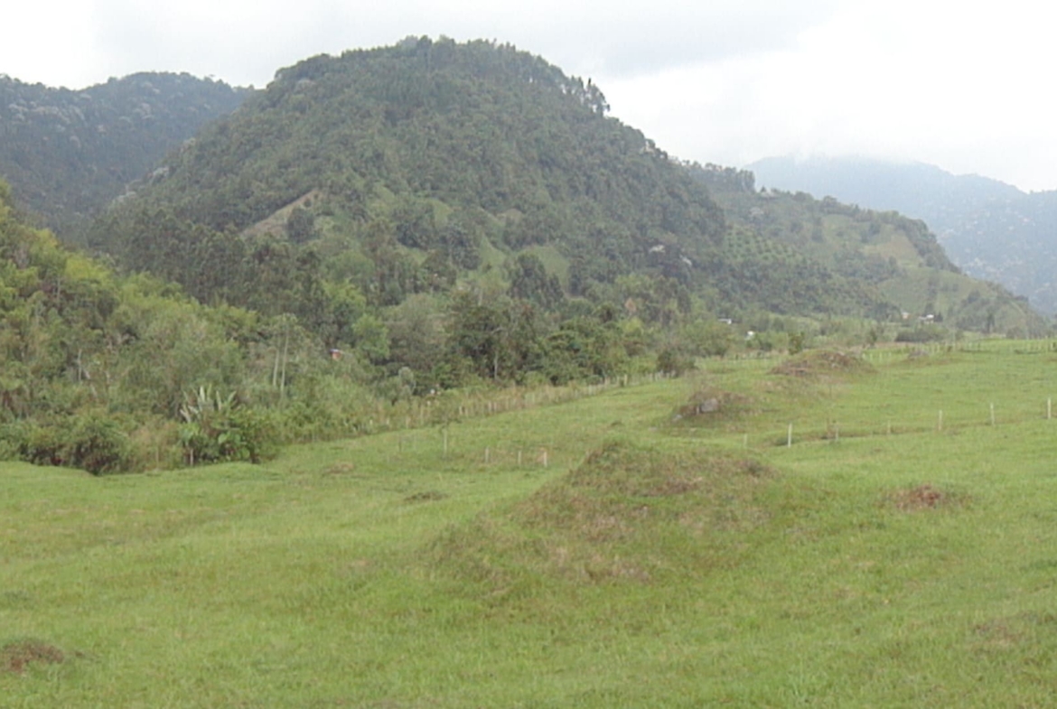 VENTA LOTE SECTOR LA FLORIDA