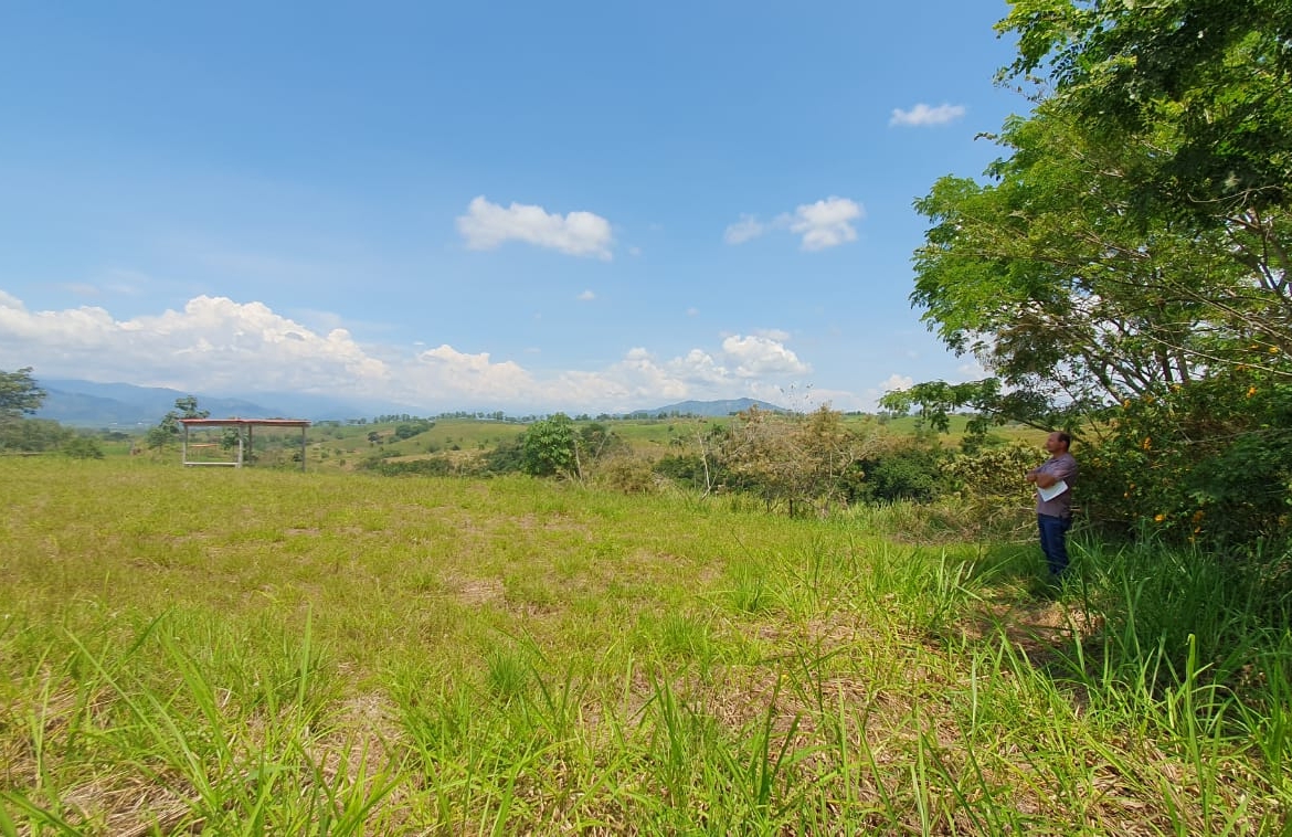 EN VENTA LOTE CERRITOS PEREIRA 10.007 M2
