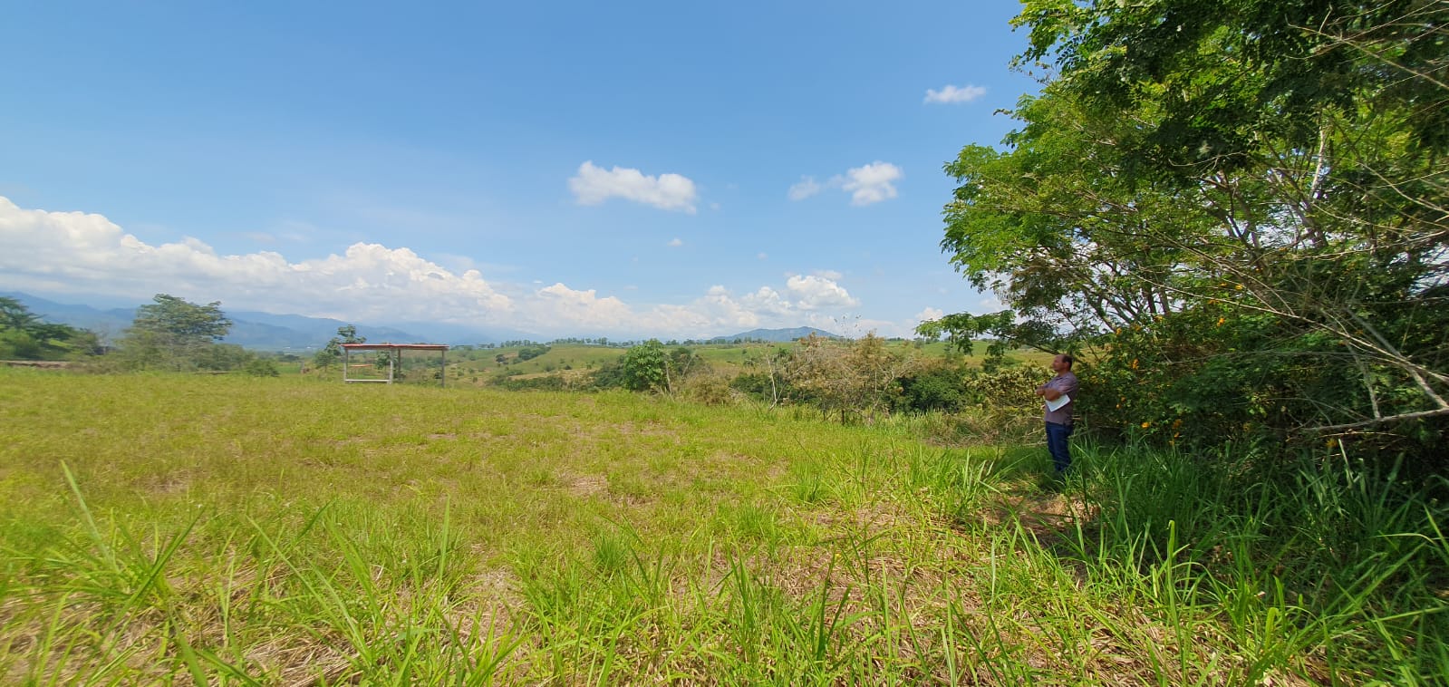 EN VENTA LOTE CERRITOS PEREIRA 10.007 M2