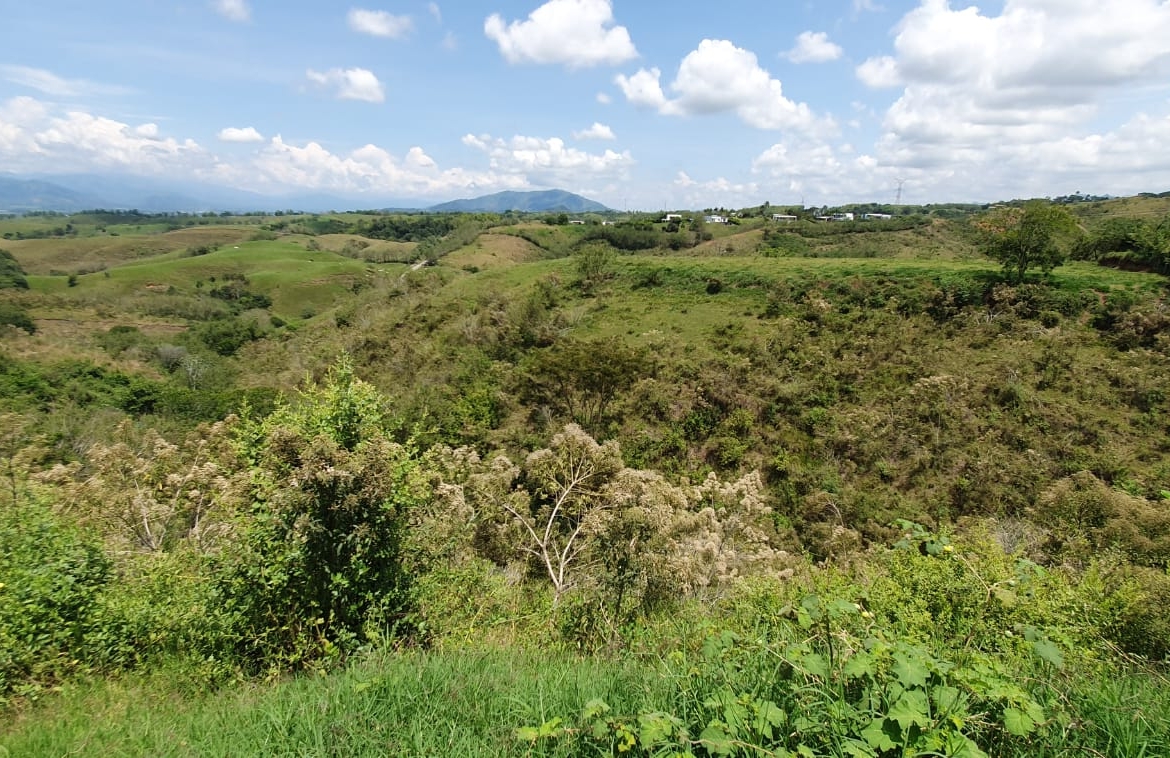 EN VENTA LOTE CERRITOS PEREIRA 11.403 M2