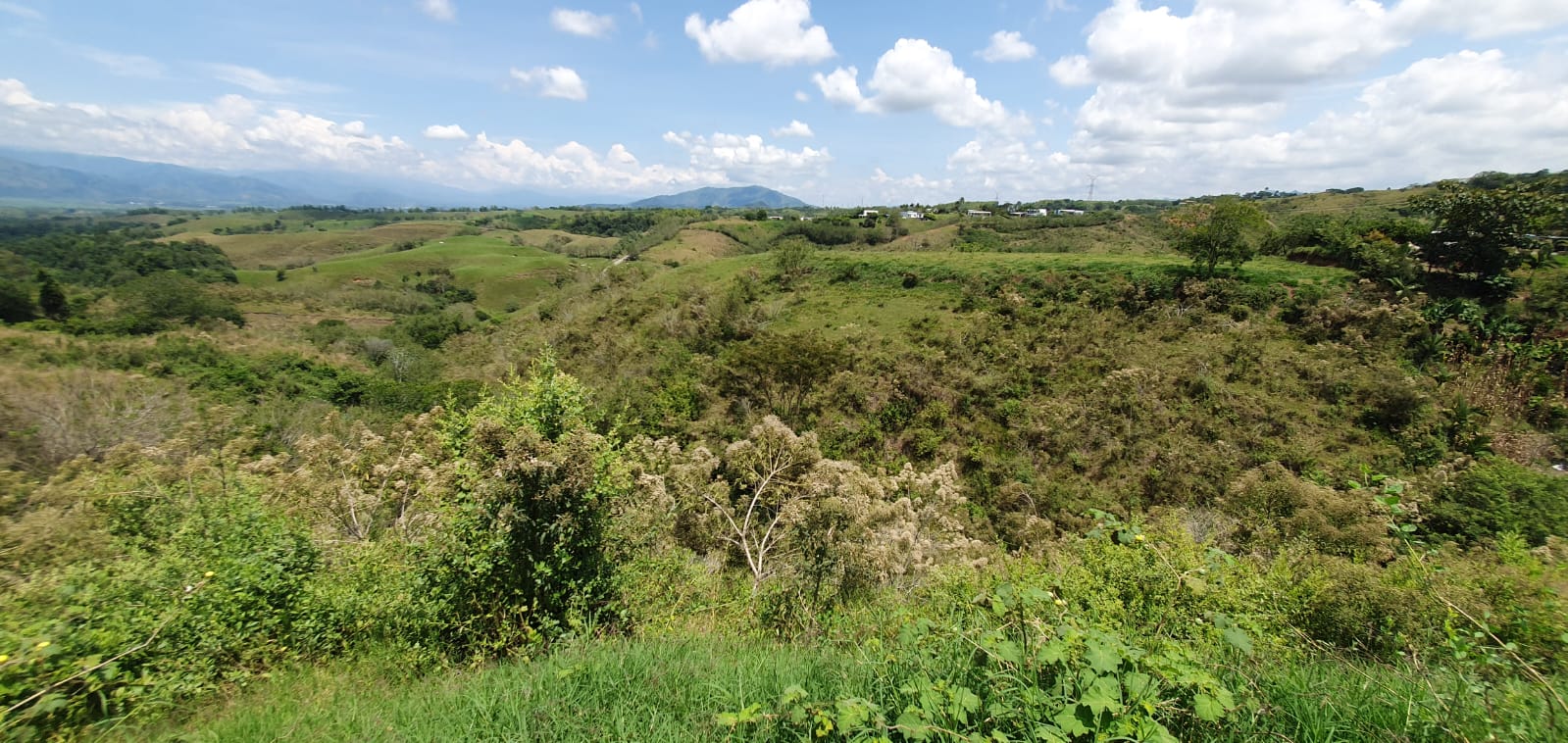 EN VENTA LOTE CERRITOS PEREIRA 11.403 M2