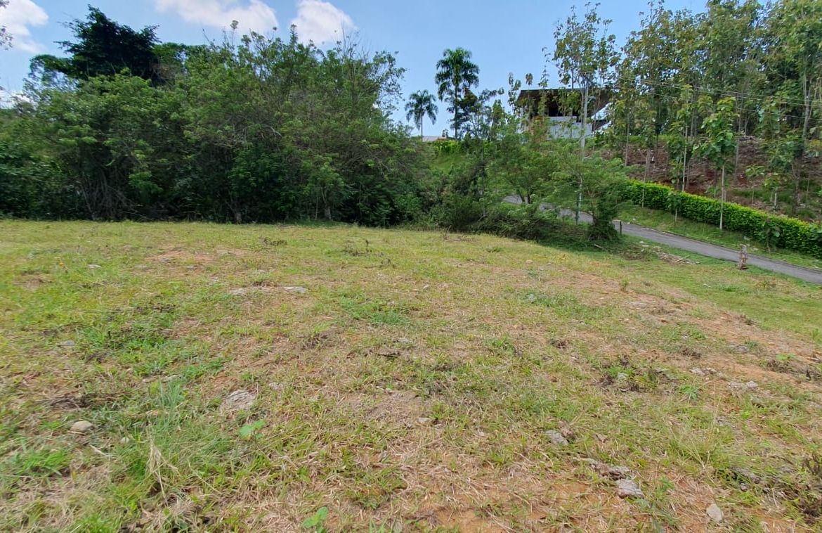 EN VENTA LOTE CERRITOS PEREIRA 11.103 M2