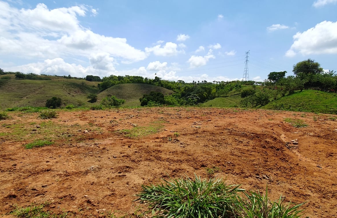 EN VENTA LOTE CERRITOS PEREIRA 13.500 M2