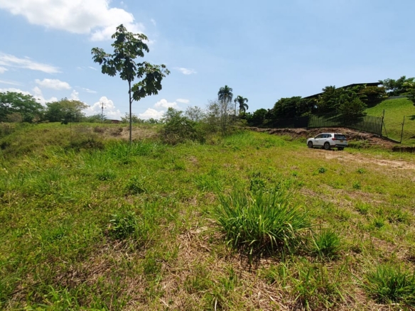EN VENTA LOTE CERRITOS PEREIRA 10.055 M2