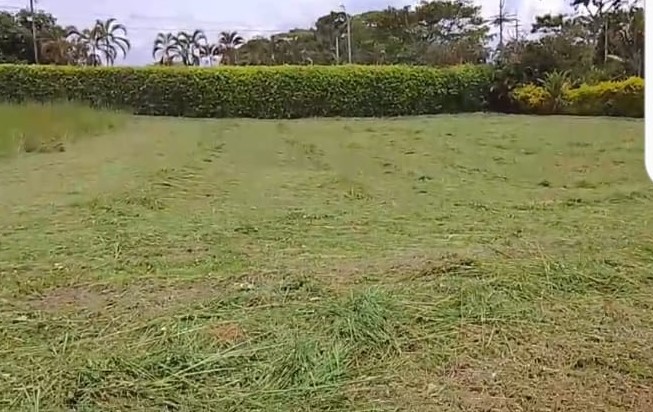 VENDO LOTE VIA CERRITOS LA VIRGINIA PEREIRA
