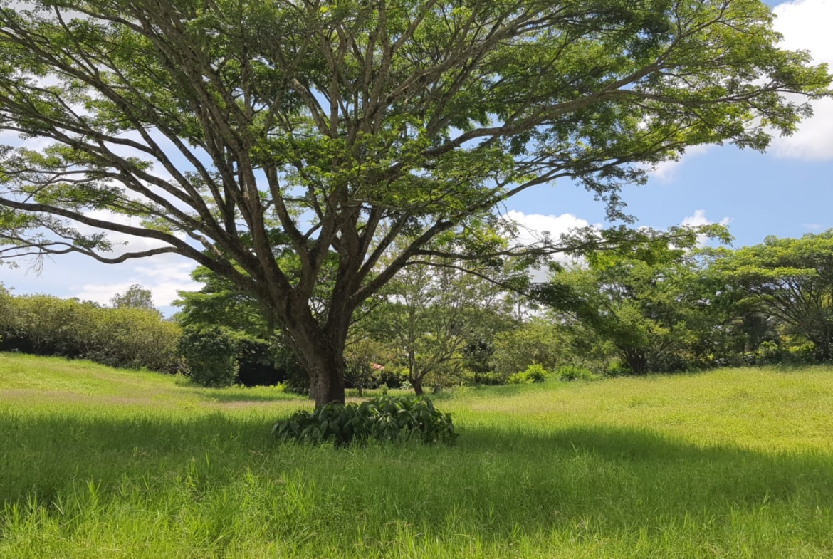 VENTA DE LOTE EN CERRITOS