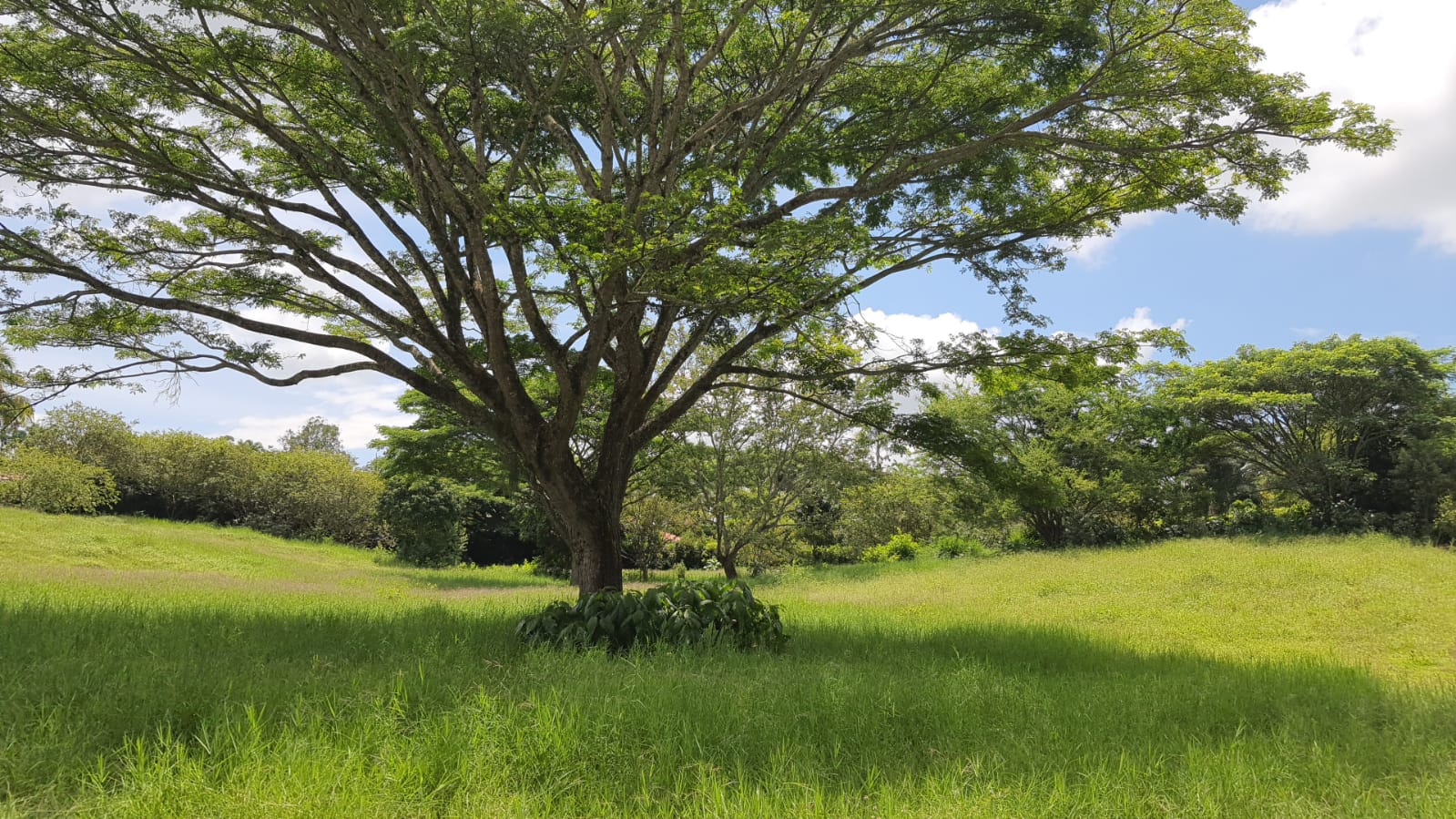 VENTA DE LOTE EN CERRITOS