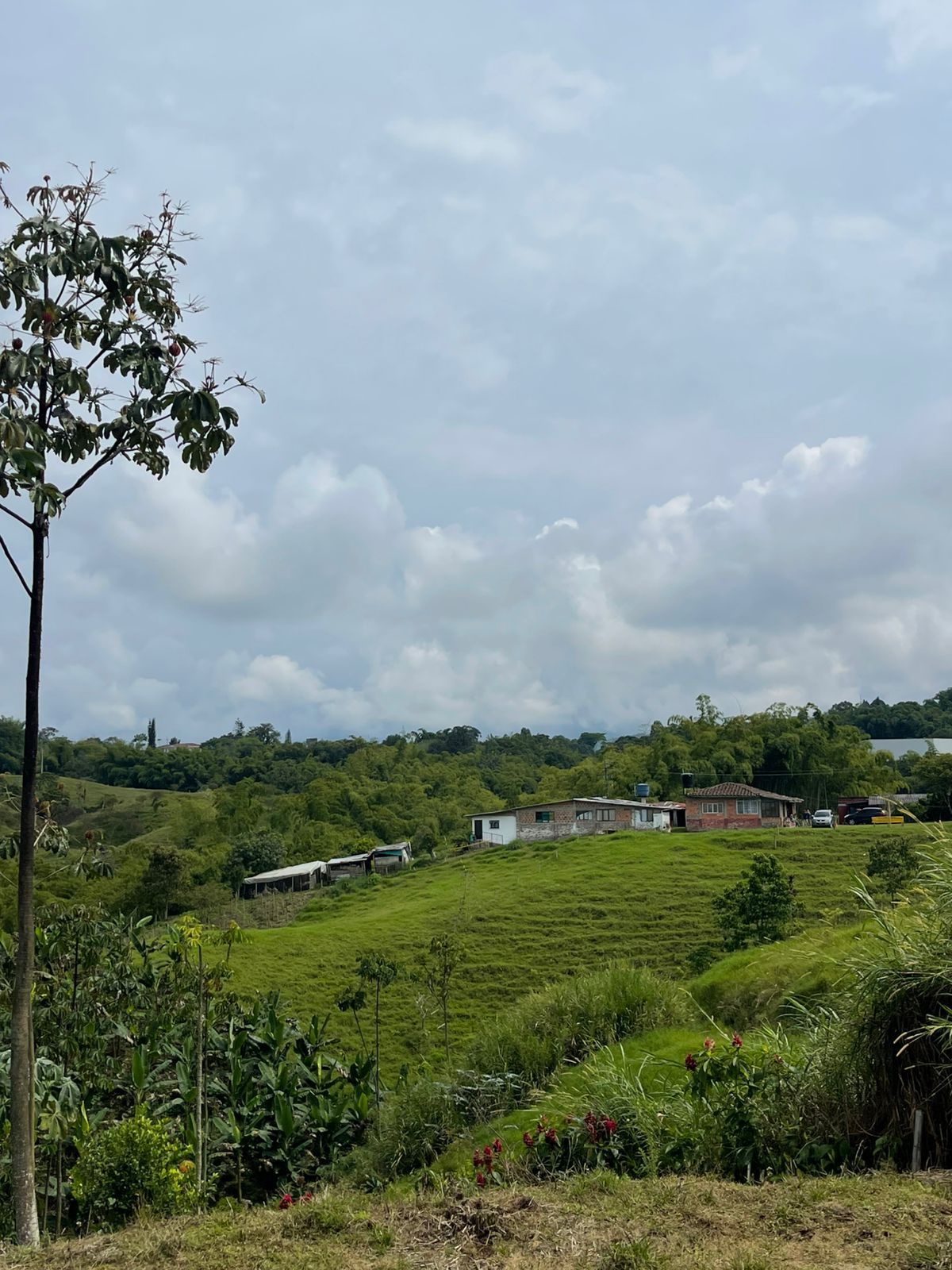 VENTA DE LOTE VÍA CONDINA