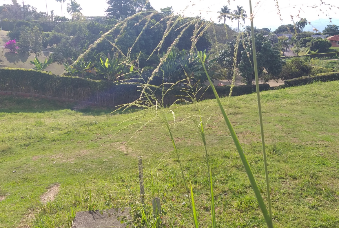 Lote Campestre Sector Cerritos
