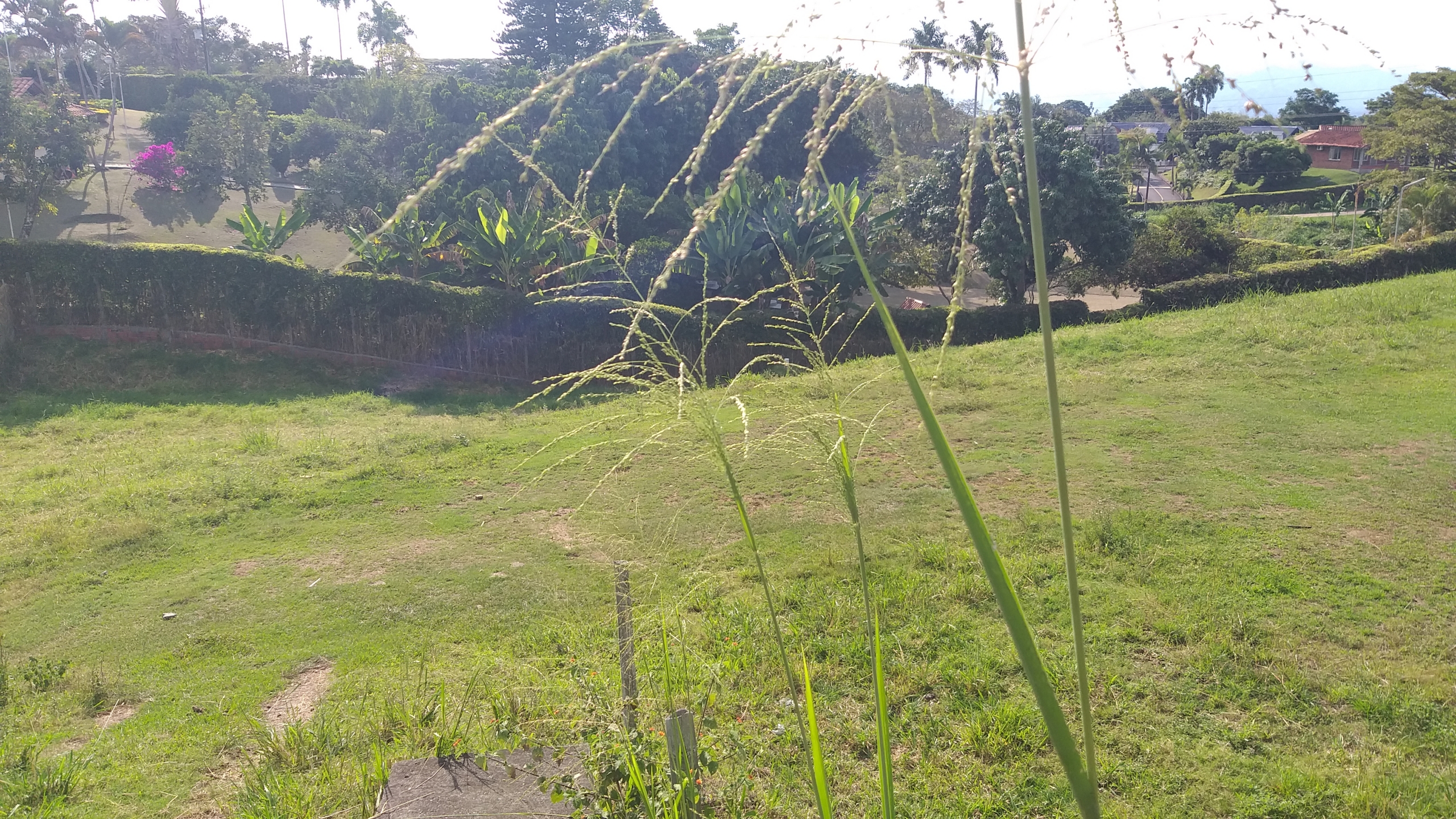 Lote Campestre Sector Cerritos