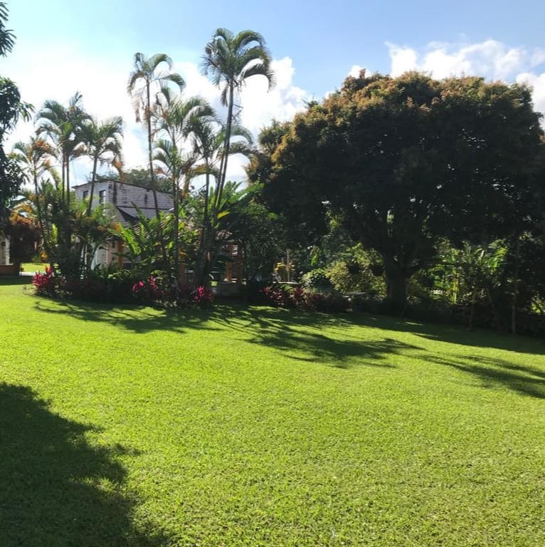 ALQUILER DE FINCA VEREDA EL CONGOLO VIA CONDINA PEREIRA