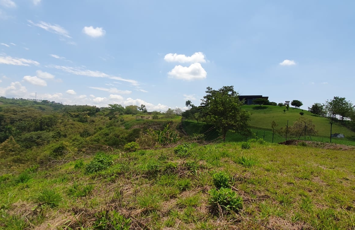 EN VENTA LOTE CERRITOS PEREIRA 11.027M2