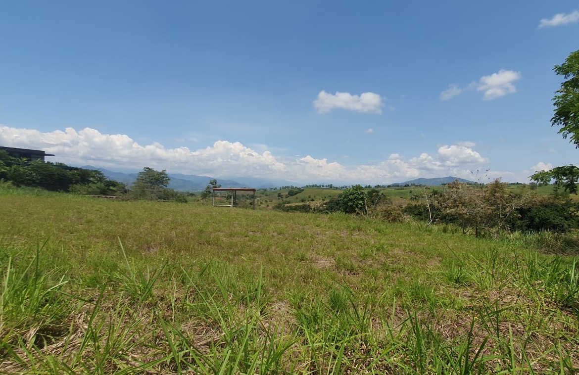 EN VENTA LOTE CERRITOS PEREIRA 10.007 M2
