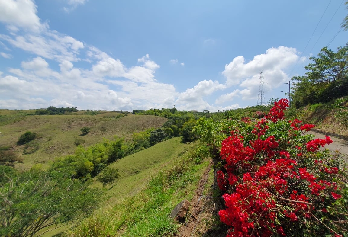 EN VENTA LOTE CERRITOS PEREIRA 13.000 M2