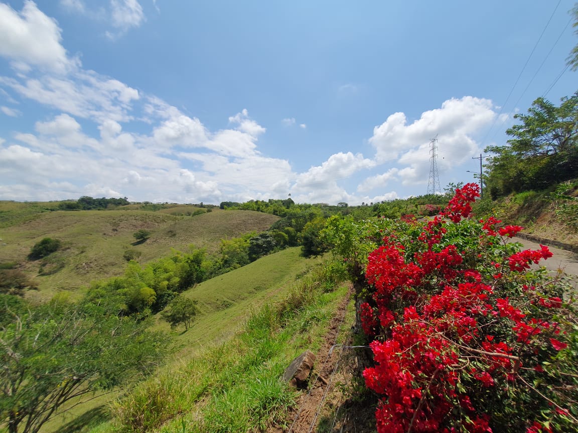 EN VENTA LOTE CERRITOS PEREIRA 13.000 M2