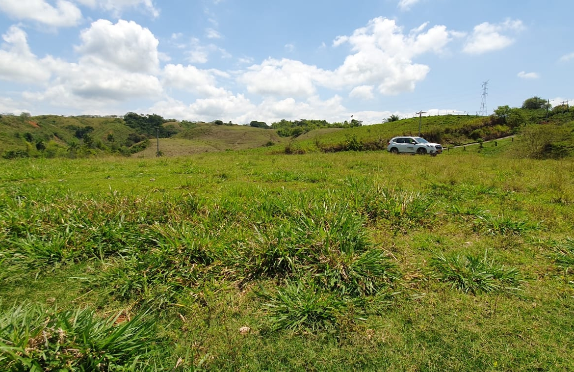 EN VENTA LOTE CERRITOS PEREIRA 11.517 M2