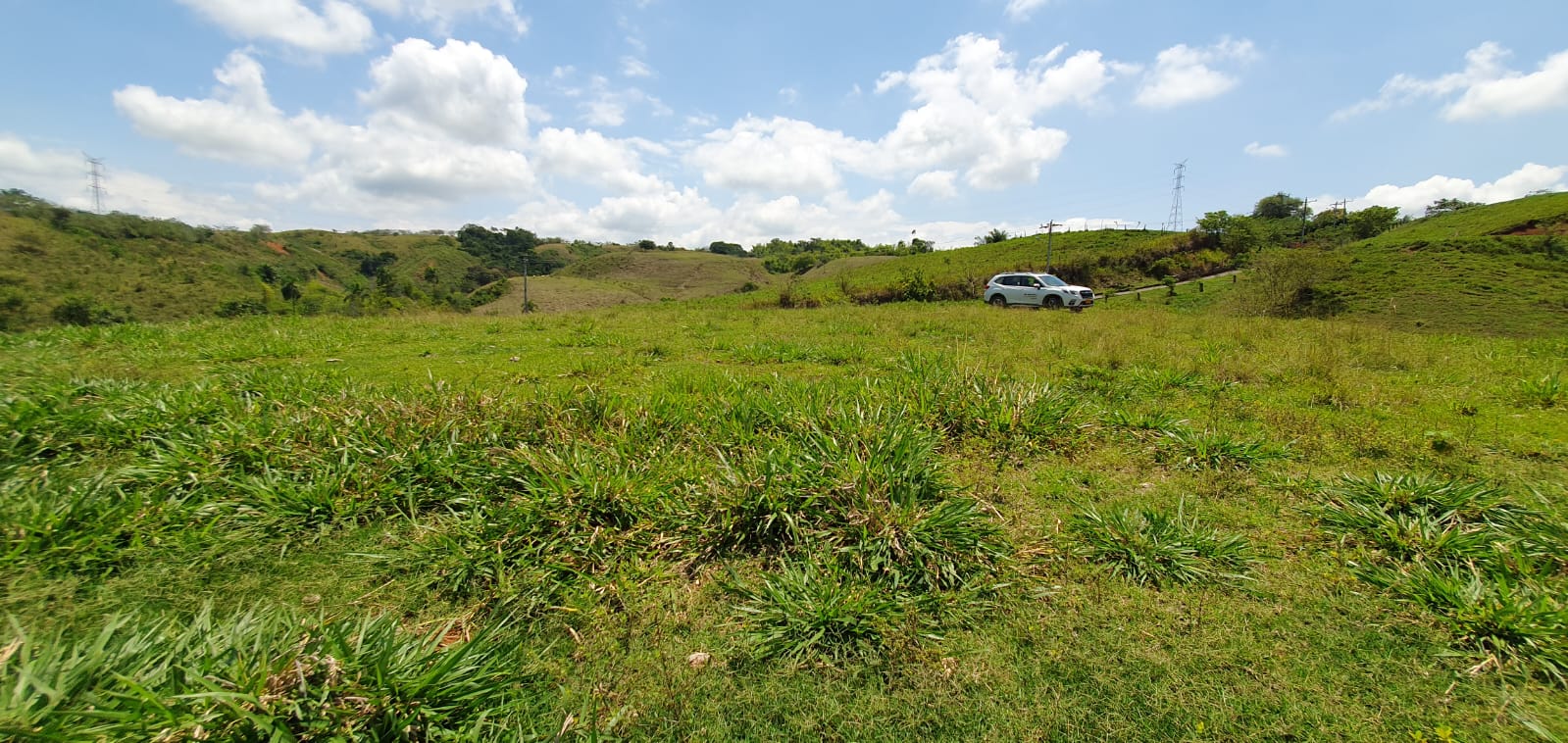 EN VENTA LOTE CERRITOS PEREIRA 11.517 M2