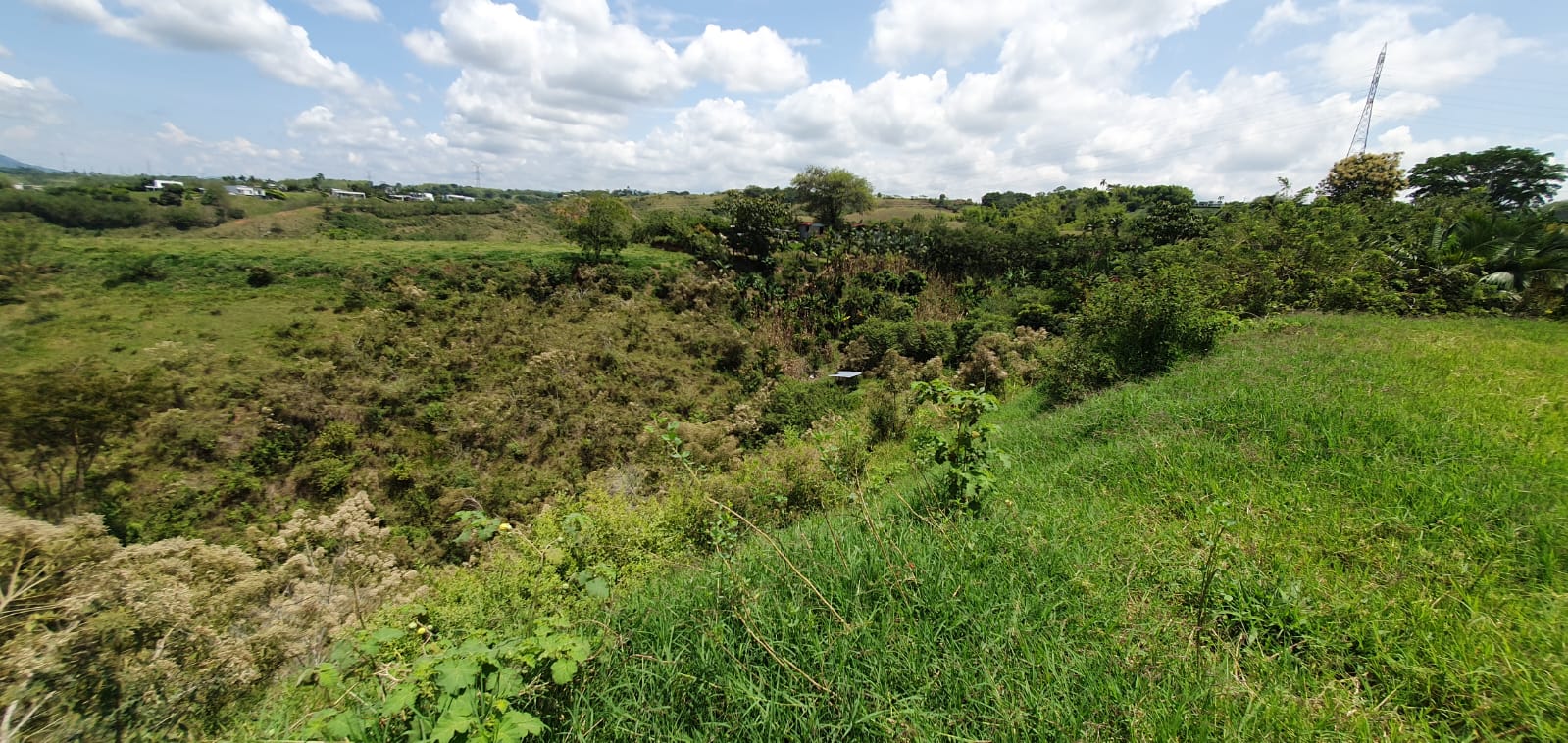 EN VENTA LOTE CERRITOS PEREIRA 11.403 M2