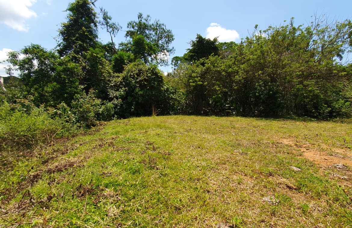 EN VENTA LOTE CERRITOS PEREIRA 11.103 M2