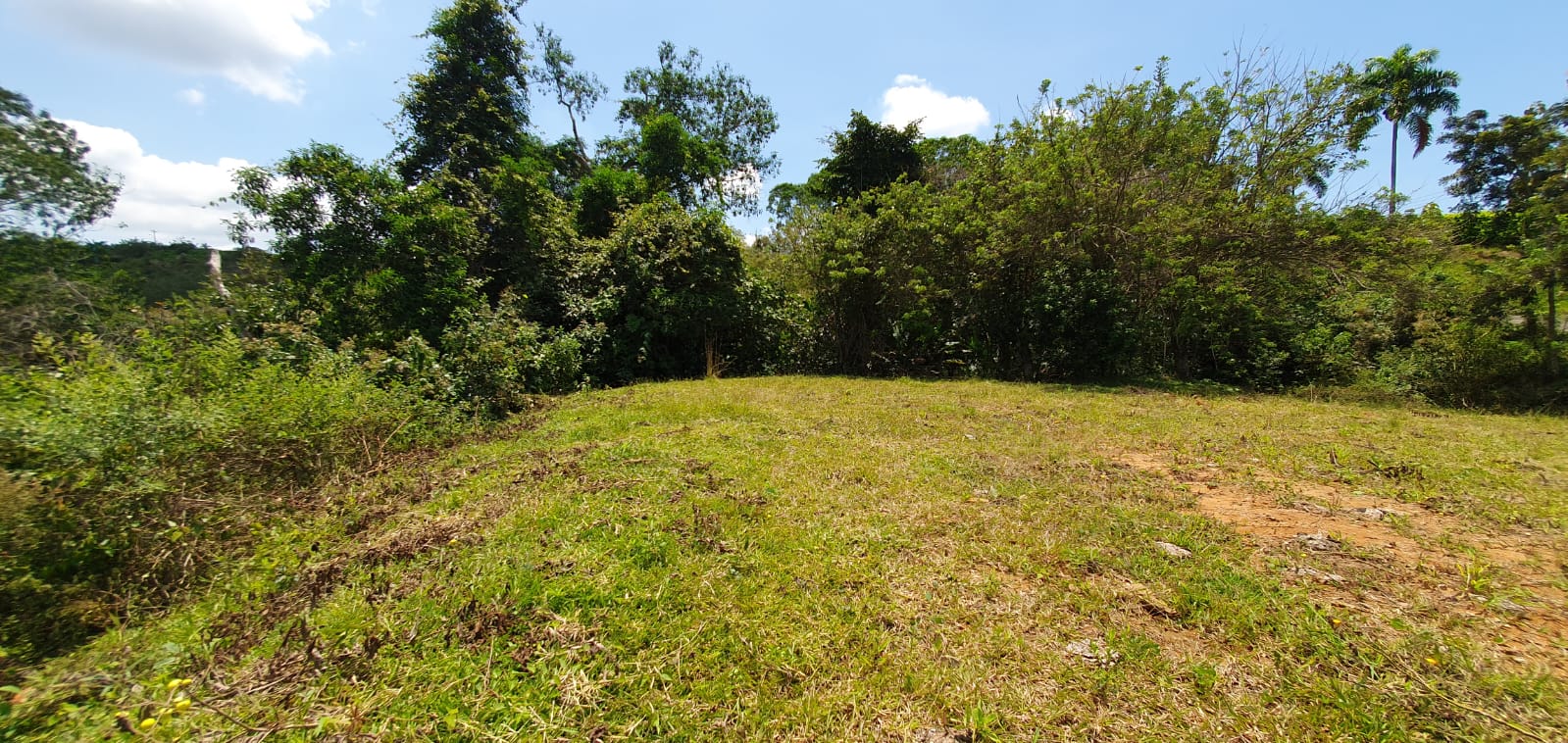 EN VENTA LOTE CERRITOS PEREIRA 11.103 M2