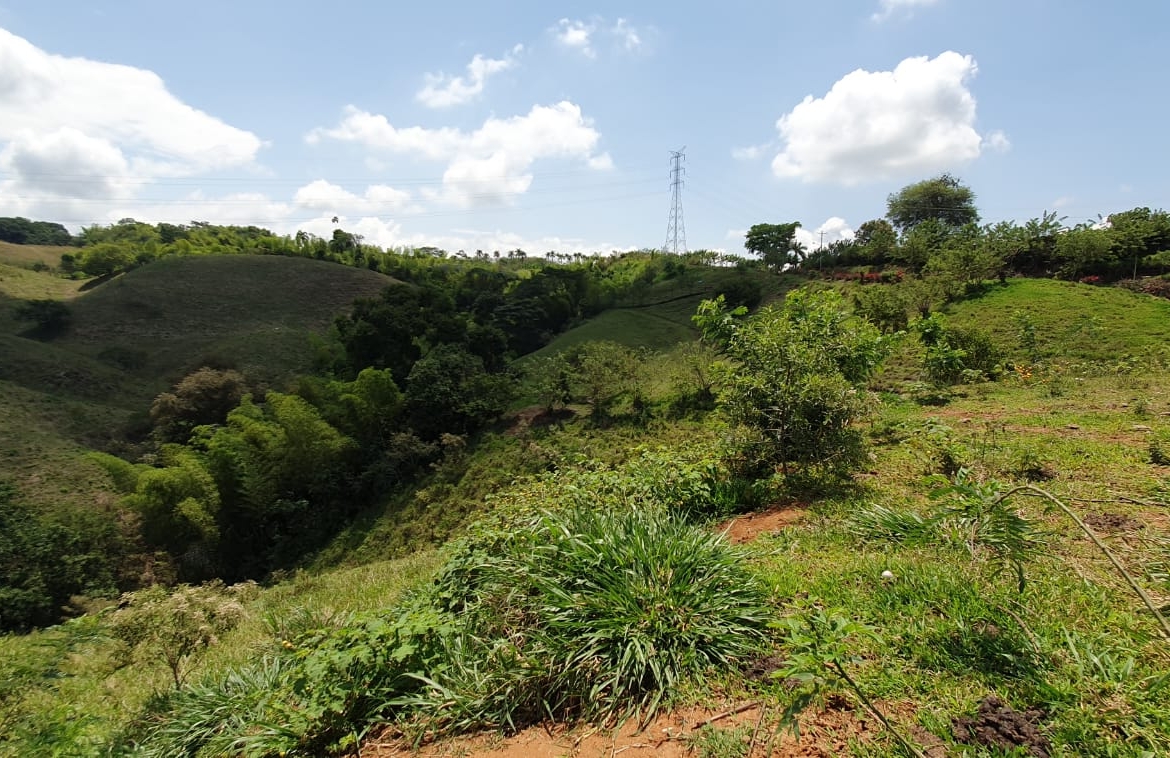 EN VENTA LOTE CERRITOS PEREIRA 13.500 M2