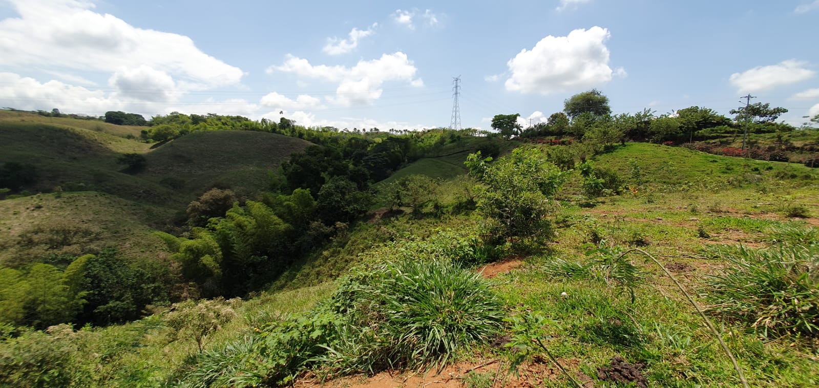 EN VENTA LOTE CERRITOS PEREIRA 13.500 M2