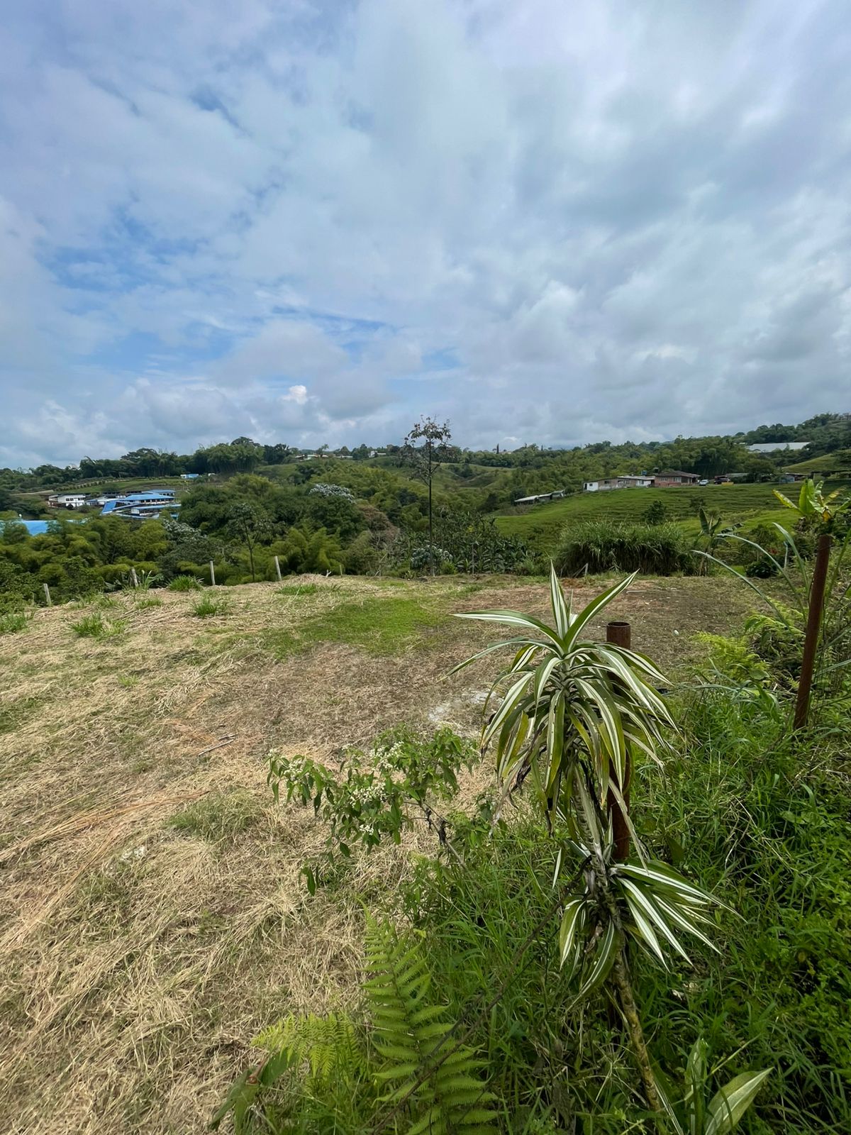 VENTA DE LOTE VÍA CONDINA