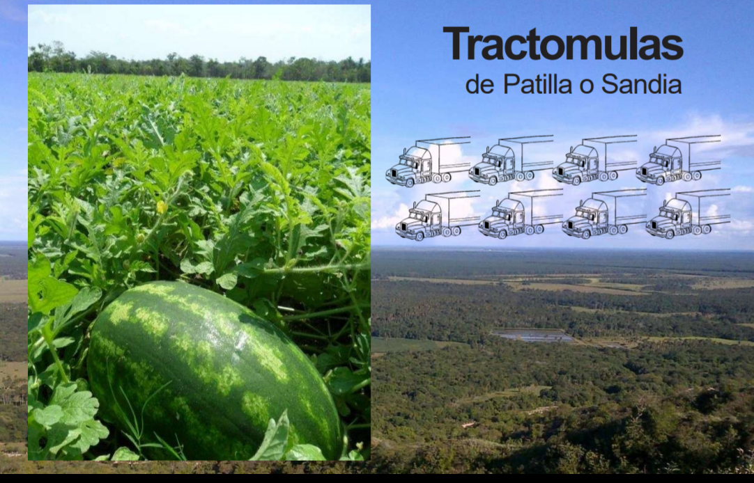 VENTA FINCA 263 HECT. EN VILLA NUEVA CASANARE