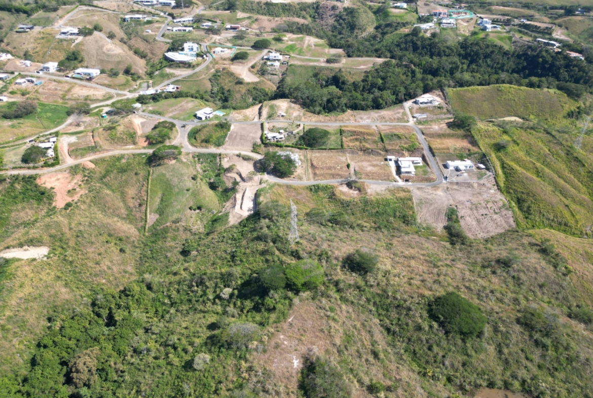 VENDO O CAMBIO LOTE 2000 M2 CONDOMINIO EN CERRITOS PEREIRA