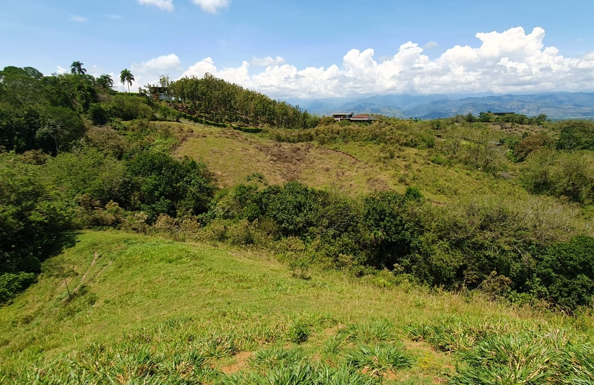 EN VENTA LOTE CERRITOS PEREIRA 11.517 M2