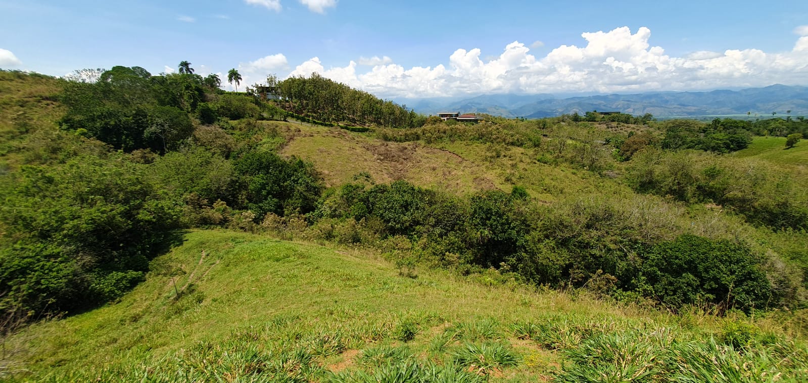 EN VENTA LOTE CERRITOS PEREIRA 11.517 M2