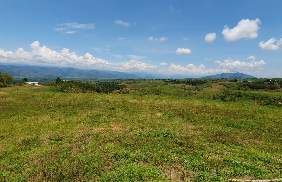 EN VENTA LOTE CERRITOS PEREIRA 11.403 M2