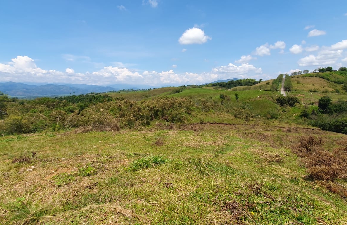 EN VENTA LOTE CERRITOS PEREIRA 11.103 M2