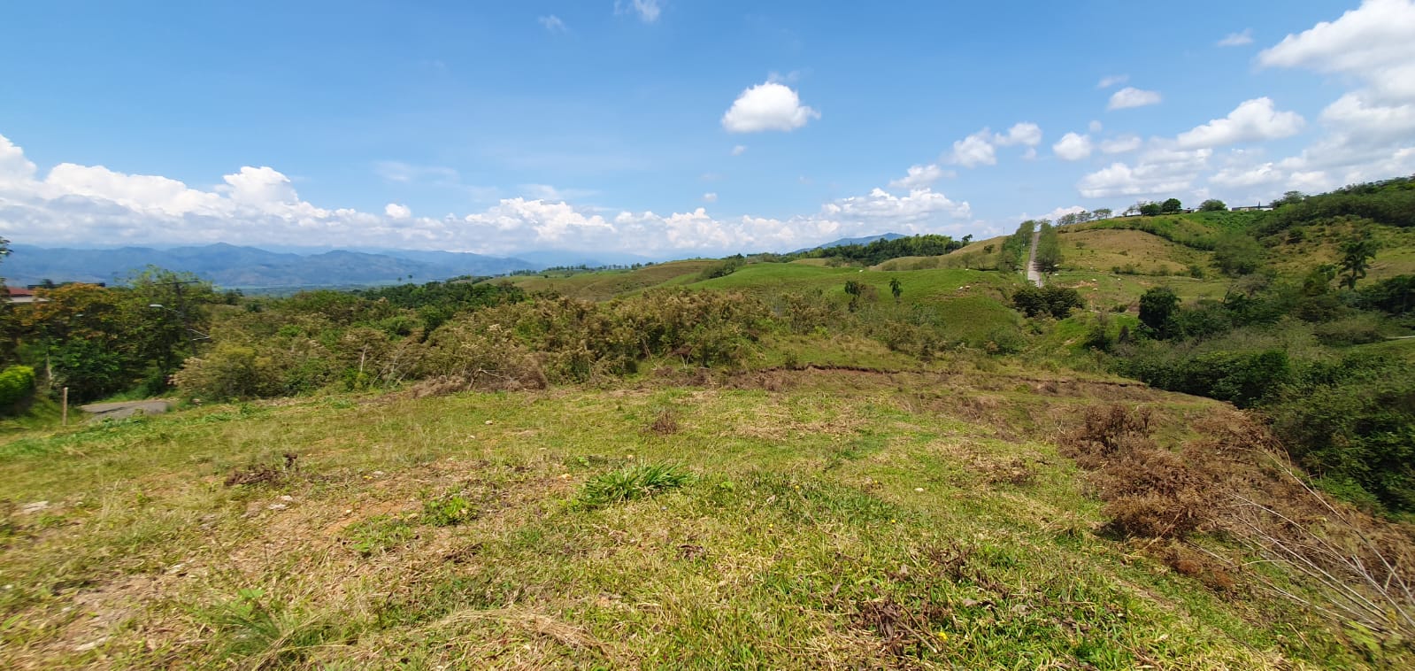 EN VENTA LOTE CERRITOS PEREIRA 11.103 M2
