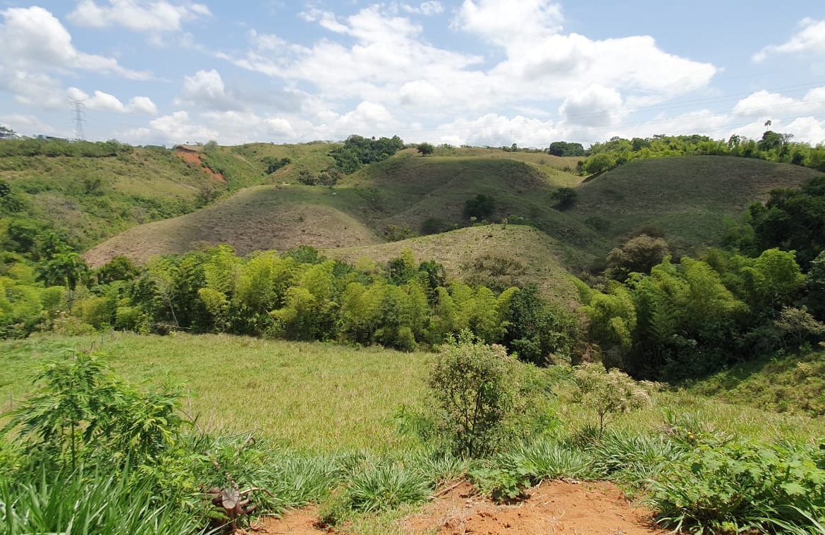 EN VENTA LOTE CERRITOS PEREIRA 13.500 M2