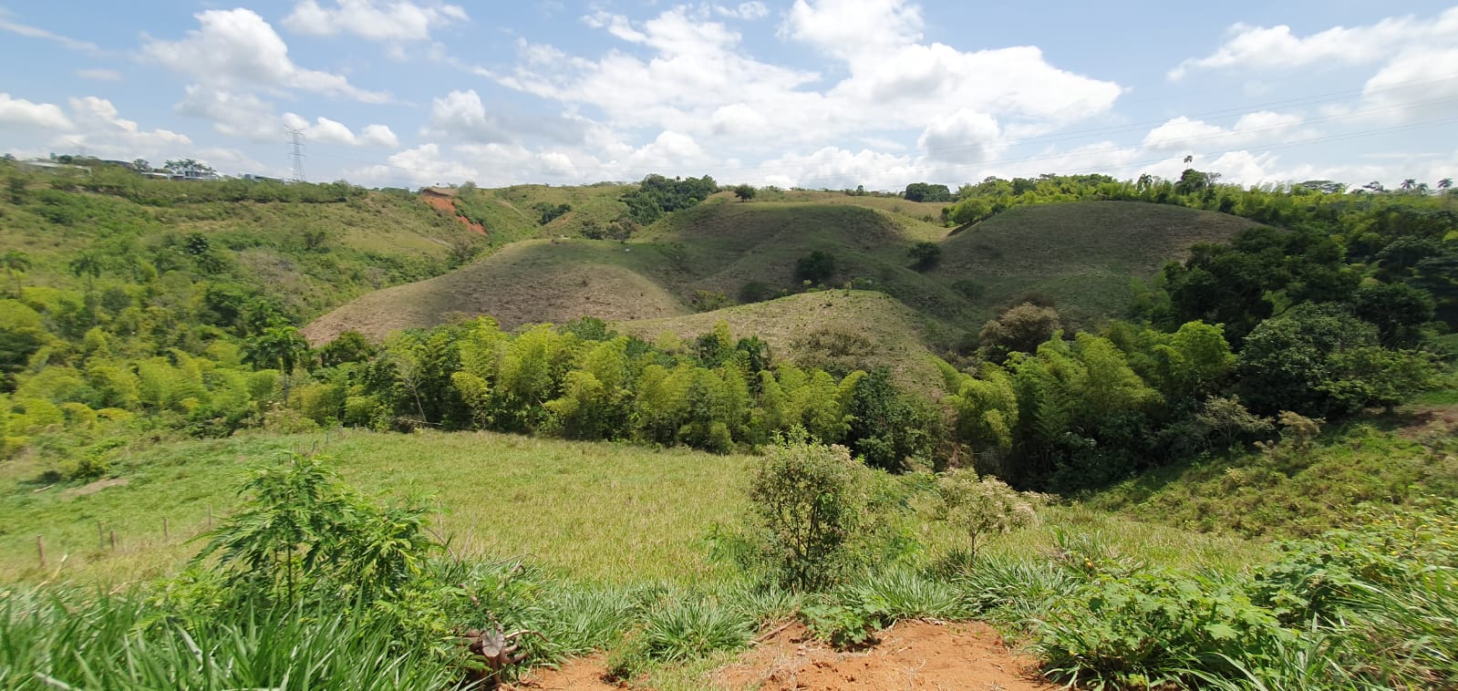 EN VENTA LOTE CERRITOS PEREIRA 13.500 M2
