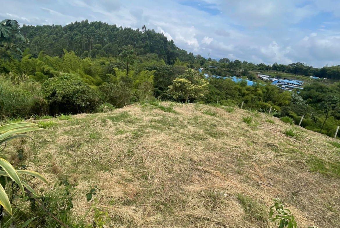 VENTA DE LOTE VÍA CONDINA