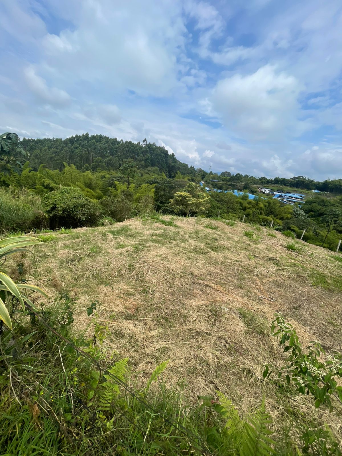 VENTA DE LOTE VÍA CONDINA